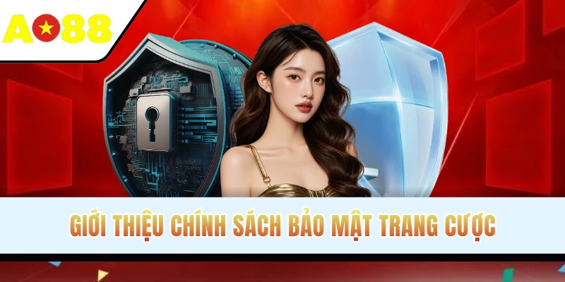 Giới thiệu chính sách bảo mật trang cược